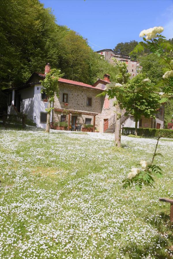 Il Molino Di Serravalle Bibbiena Exterior photo